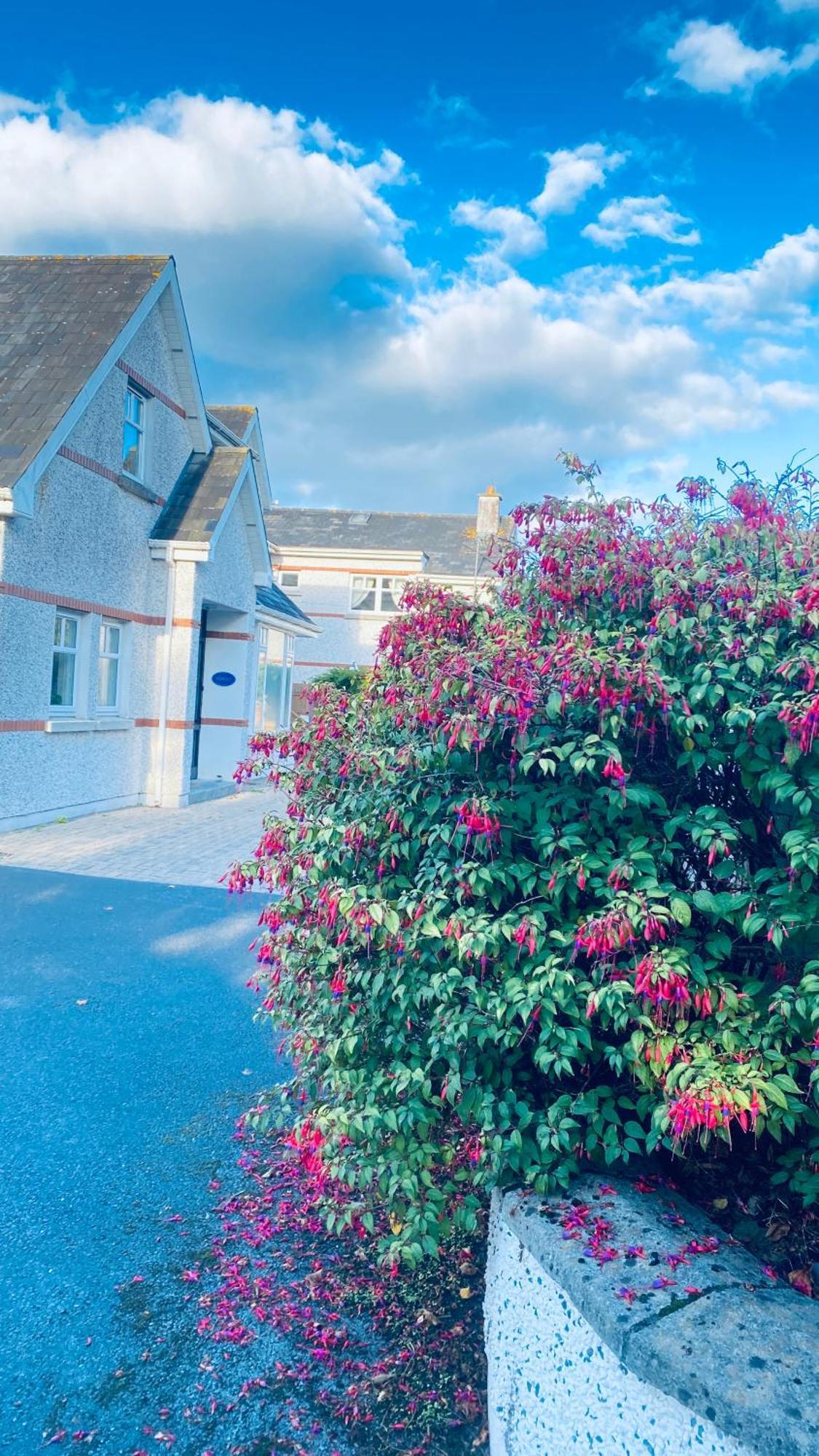 Bed and Breakfast Sonas House à Kilkenny Extérieur photo
